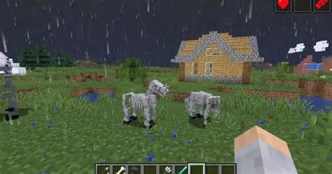 How to Tame a Skeleton Horse in Minecraft - Touch, Tap, Play