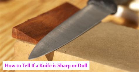 How to Tell If a Knife is Sharp or Dull Testing Methods