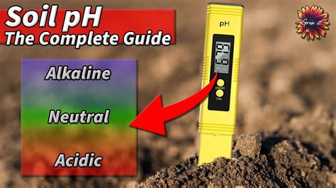 How to Test and Adjust your Soil pH: Is your Soil Acidic or Alkaline ...