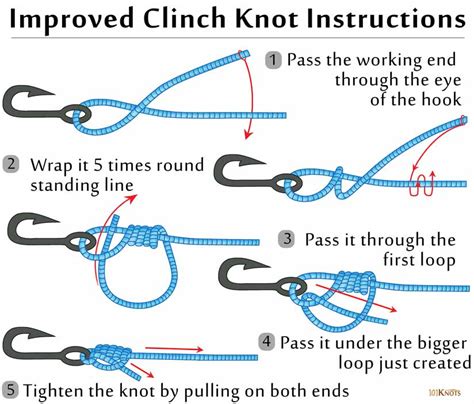 How to Tie an Improved Clinch Knot? Tips, Steps