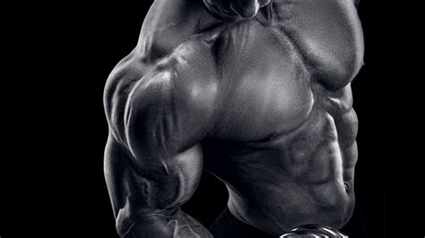 How to Train for Non Stop Muscle Growth
