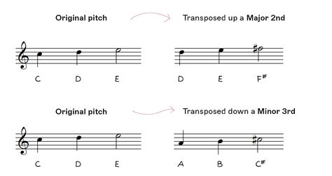 How to Transpose Music in 3 Steps nkoda
