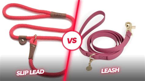 How to Treat Rope Burn from a Dog Leash: A Quick, Easy Guide