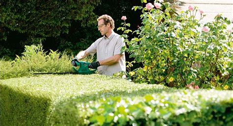 How to Trim Hedges: What You Need to Know Robert Dyas