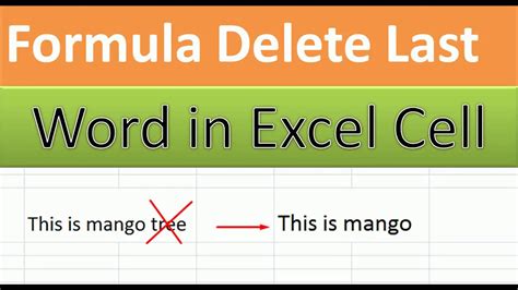 How to Trim or Remove Text in Excel YouTube