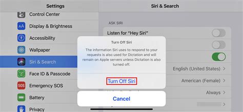 How to Turn On and Use Siri on the iPad