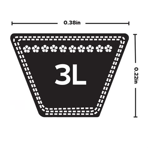 How to Use 3L Belt Conversion Chart for Accurate Results Pump