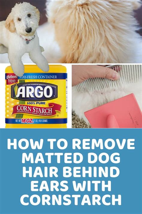 How to Use Cornstarch for Matted Dog Hair?