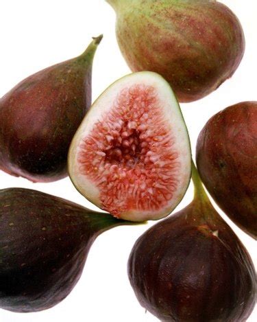 How to Use Frozen Figs eHow