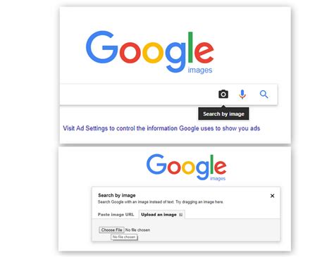 How to Use Google Reverse Image Search