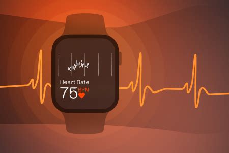 How to Use Heart Rate Monitor for Your Walking Workout