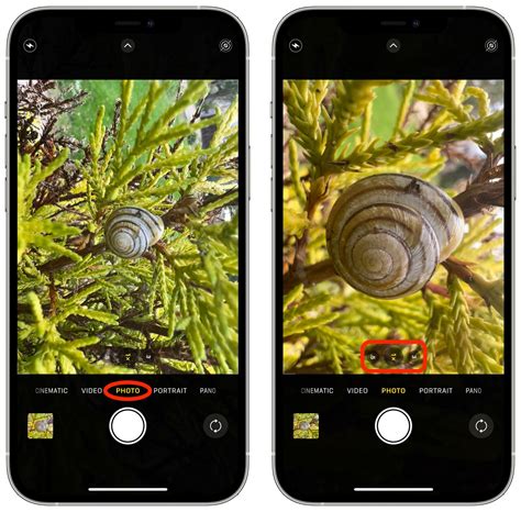 How to Use Macro Photography on iPhone 13