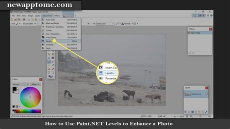 How to Use Paint NET Levels to Improve a Photo