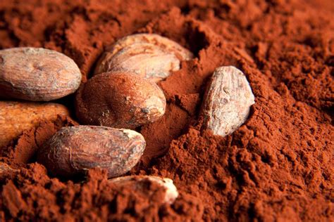 How to Use Raw Cacao in Food Recipes - The Spruce Eats