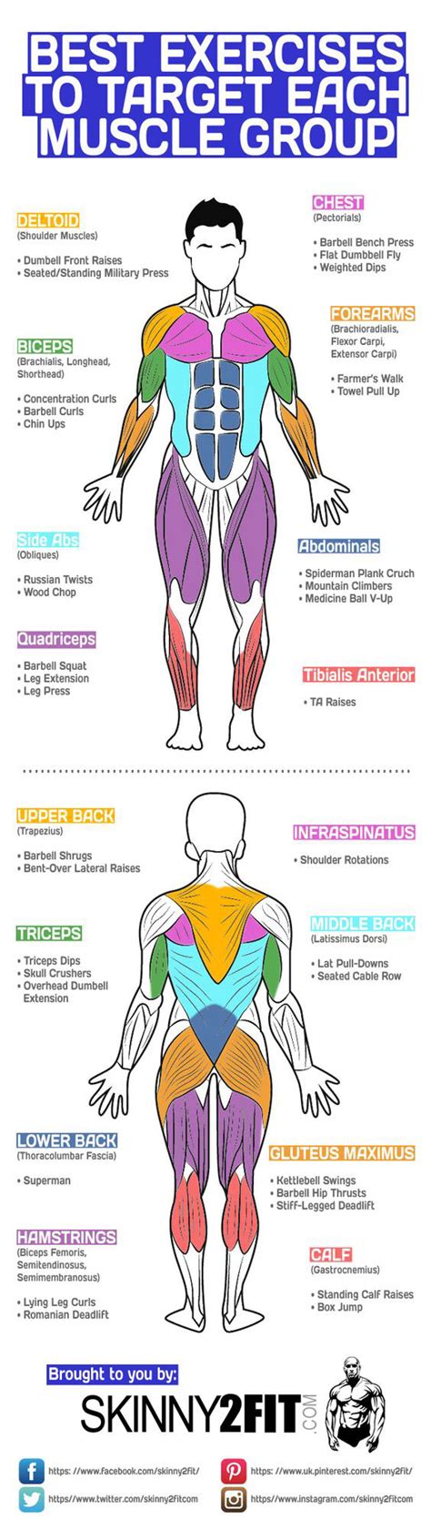 How to Use Specific Exercises to Target Muscles