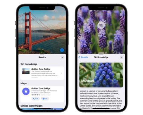 How to Use Visual Lookup in Photos in iOS 15