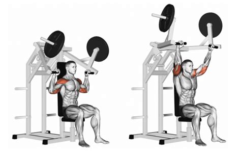 How to Use a Shoulder Press Machine 7 Best Shoulder Exercises You Can Do Using This Machine