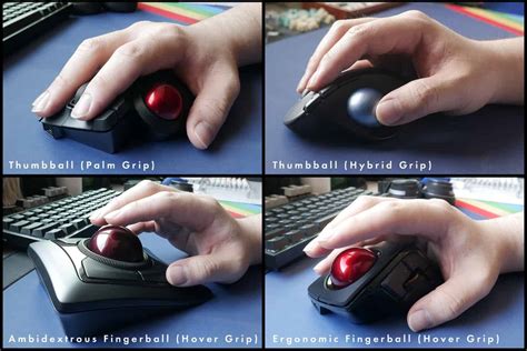 How to Use a Trackball Mouse