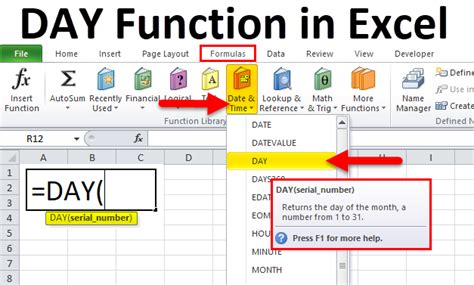 How to Use the DAY function in Excel