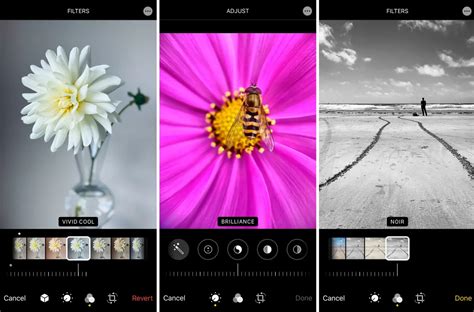How to Use the Live Photo Editor on iPhone