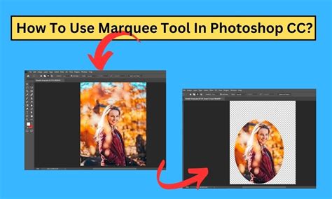 How to Use the Photoshop Marquee Tool