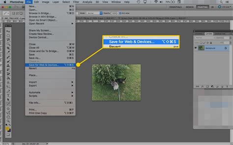 How to Use the Photoshop Save for Web Tool