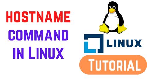 How to Use the hostname Command in Linux - Knowledge Base …