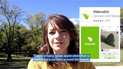 How to Use the iNaturalist App - YouTube