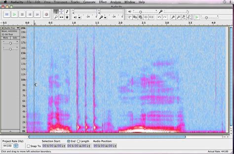 How to View the Spectrum in Audacity YouTube. 
