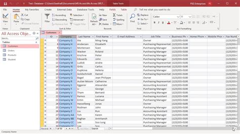 How to Work with Datasheet View in MS Access Office 365 YouTube