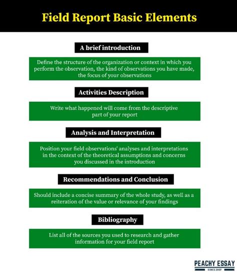 How to Write a Field Report - SolidEssay.com