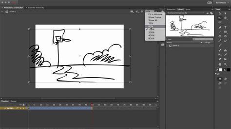 How to Zoom in Animate CC