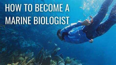 How to a Marine Biologist