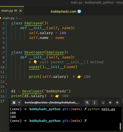 How to access an instance variable of a parent class in python?