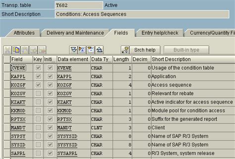 How to access tables in sap