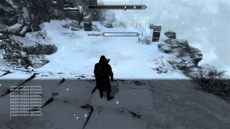 Then take out your telekinesis spell out, grab an item with it and fast travel accross the map. You should reach level 100 by fast travelling from Riften to Solitude. Pickpocketing is super easy to grind. And it makes you rich, if you have a fence. Lockpicking is a good “background” skill to reset.