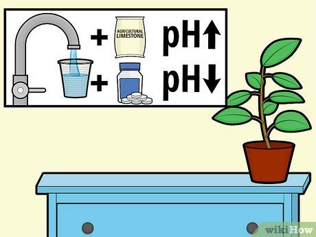 How to adjust ph level in water