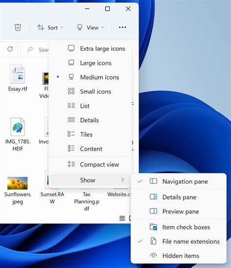 How to allow displaying file name extensions on Windows 11