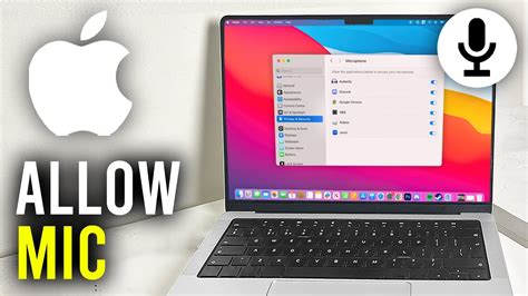 How to allow microphone access on mac for a website.  Download, install,...