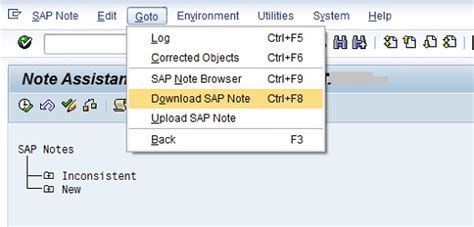 How to apply sap note in sap