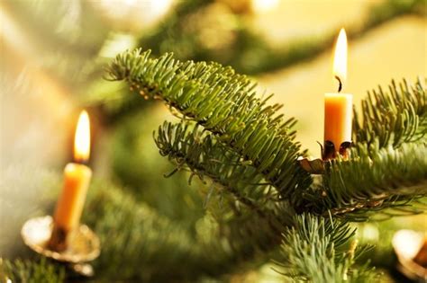 How to avoid Christmas tree fires this holiday season