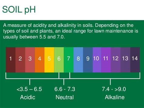 How to balance ph levels in soil