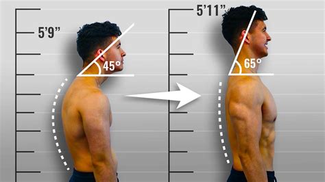 How to be tall in one day