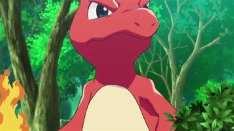 How to beat the first two Gym Leaders with Charmander as your …