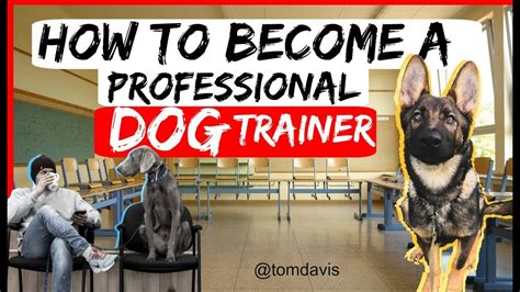 How to become a dog trainer. To become a dog trainer, here are the general steps you can follow: Gain Experience with Dogs: Start by gaining practical experience working with dogs. This can include volunteering at animal shelters, assisting in dog training classes, or working as a dog walker or pet sitter. Hands-on experience will help you … 
