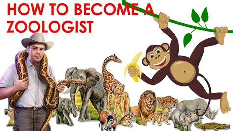 How to become a zoologist. What degrees do zoologists have? The most common degree held by zoologists is Biology, held by 14% of zoologists.Other common degrees include Zoology, Environmental Science, and Animal Sciences. Get a detailed breakdown of zoologists and the different types of degrees they hold: 
