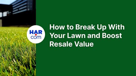 How to break up with your lawn and boost resale value