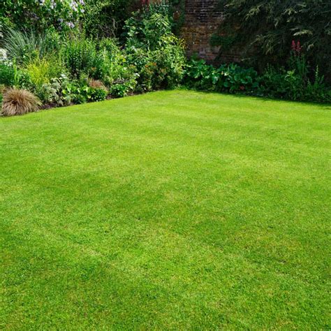 How to break up with your lawn and boost your home's resale value