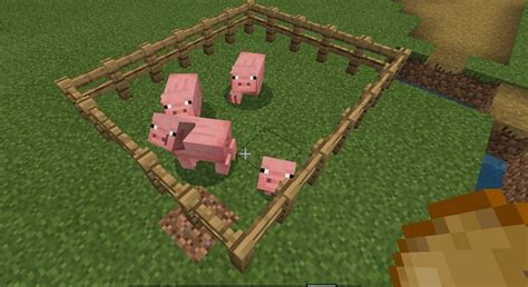 How to breed Pigs in Minecraft Materials Required How to breed Why