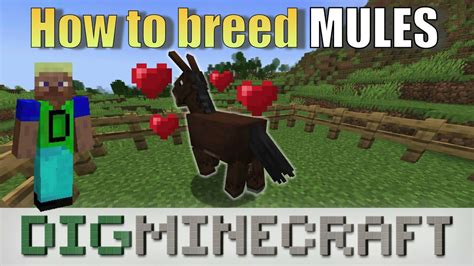 How to breed a mule in minecraft
